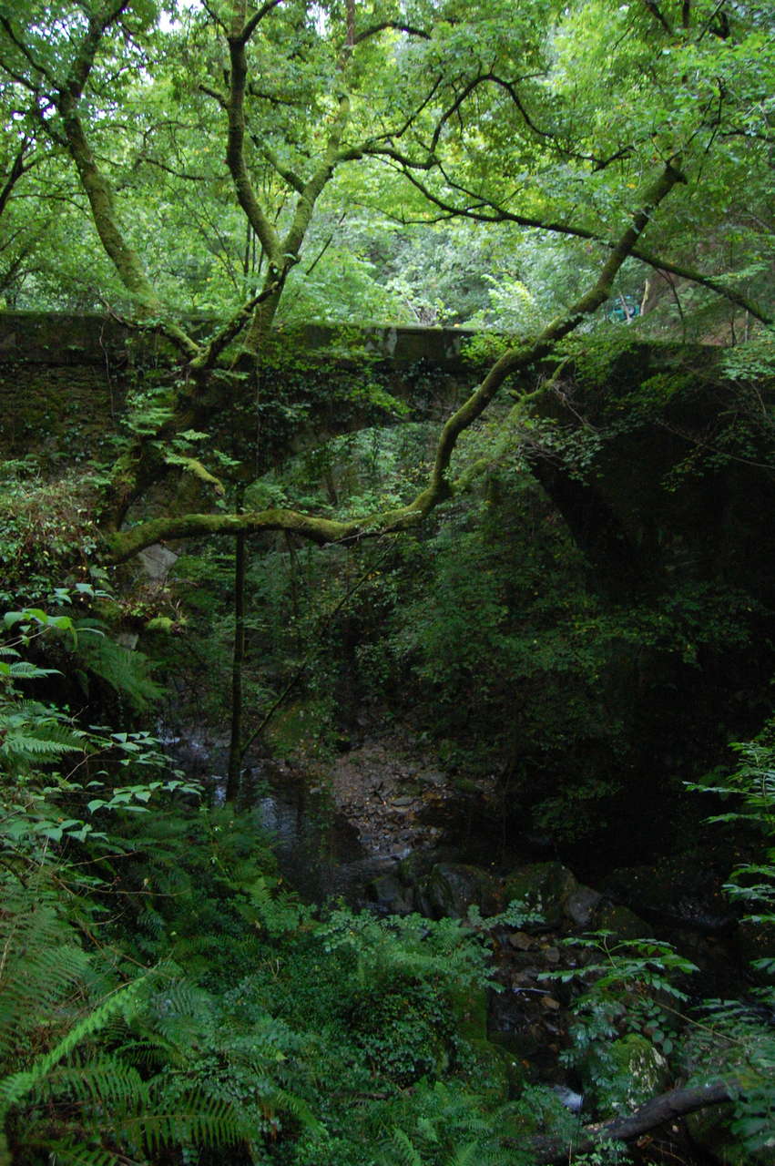 Parque Natural de las Fragas do Eume